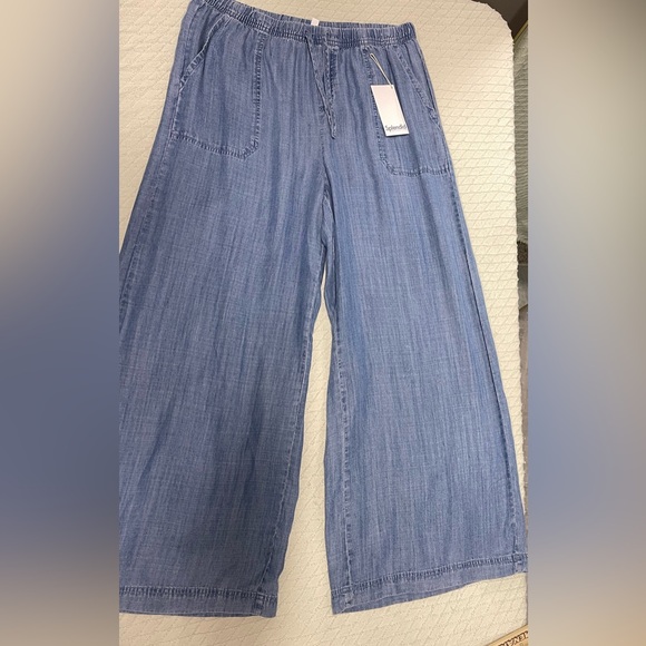 Splendid Indigo Chambray Wide-Leg Pants - Picture 3 of 6